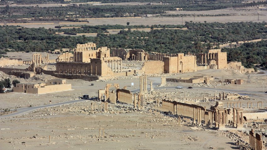 tmld-palmira-isis-main
