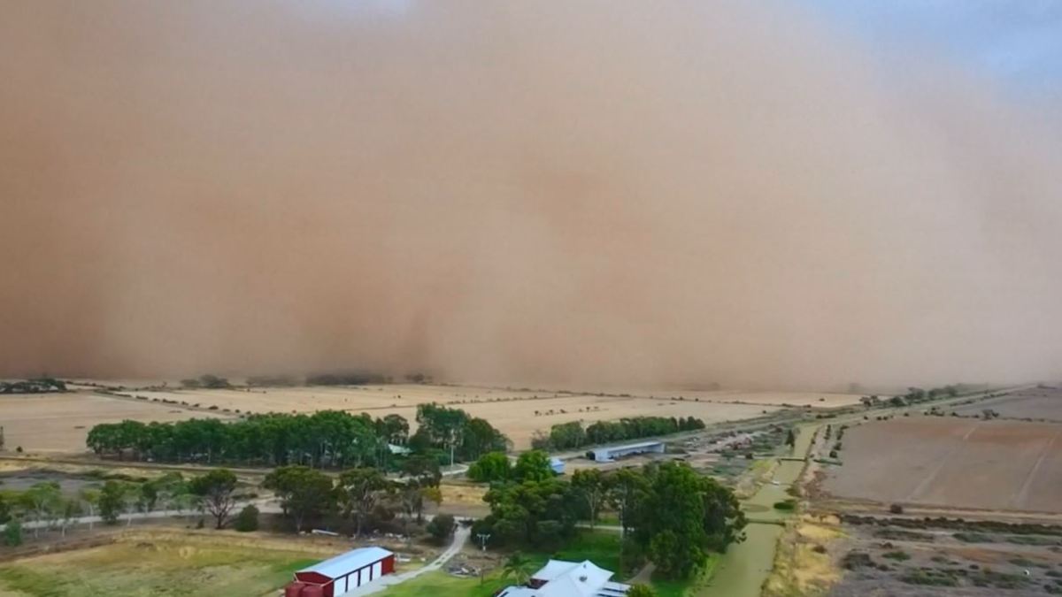 En video imponente tormenta de arena devora todo a su paso Telemundo