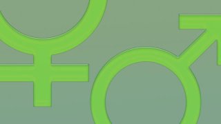 transgender2