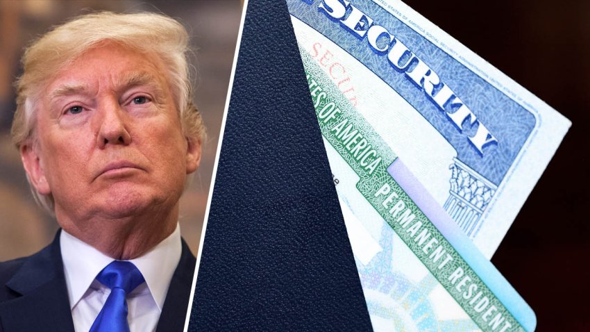 trump-casamiento-green-card-001