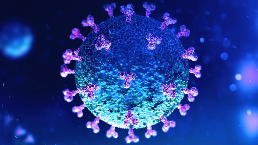 ¿Cuánto dura el coronavirus sobre la ropa?