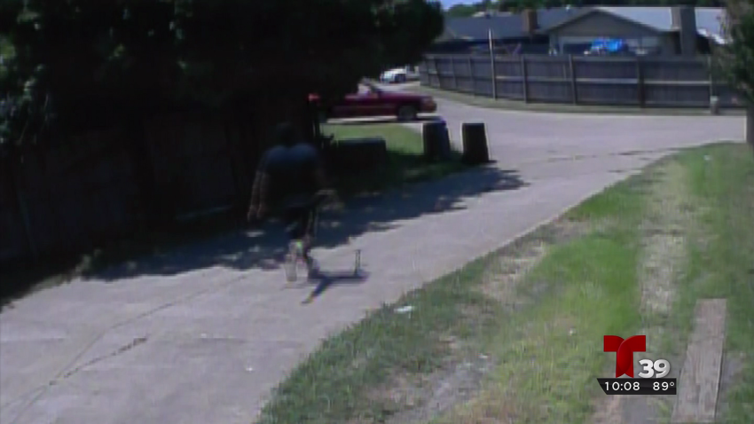 vlcsnap-2015-08-05-13h50m52s261