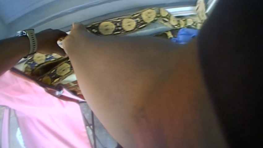 Serpiente regresa a su casa dos días después de haber sido abandonada