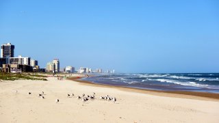 playa de la Isla del Padre Sur