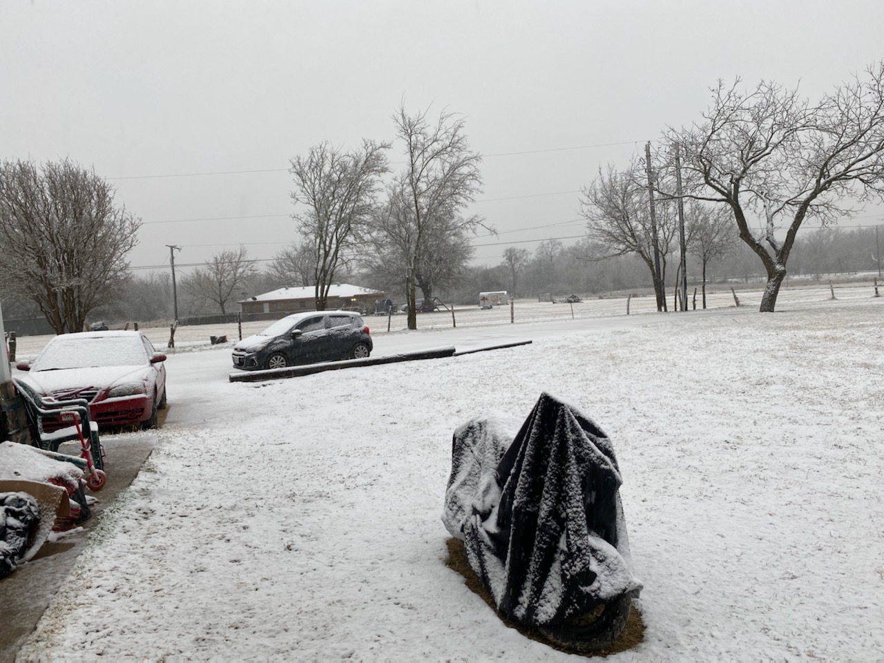 En fotos Nevada en el norte de Texas Telemundo Dallas (39)