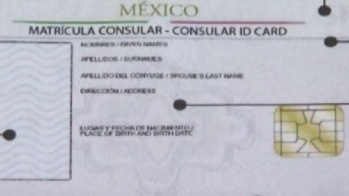 fake mexican consular id card