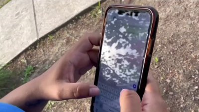 ¿Son efectivos los planes de telefonía celular que ofrecen las compañías?