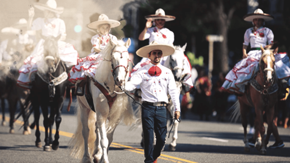 Llega "The Vaquero Gathering" a Fort Worth Stockyards – Telemundo Dallas (39) - Vimarsana News