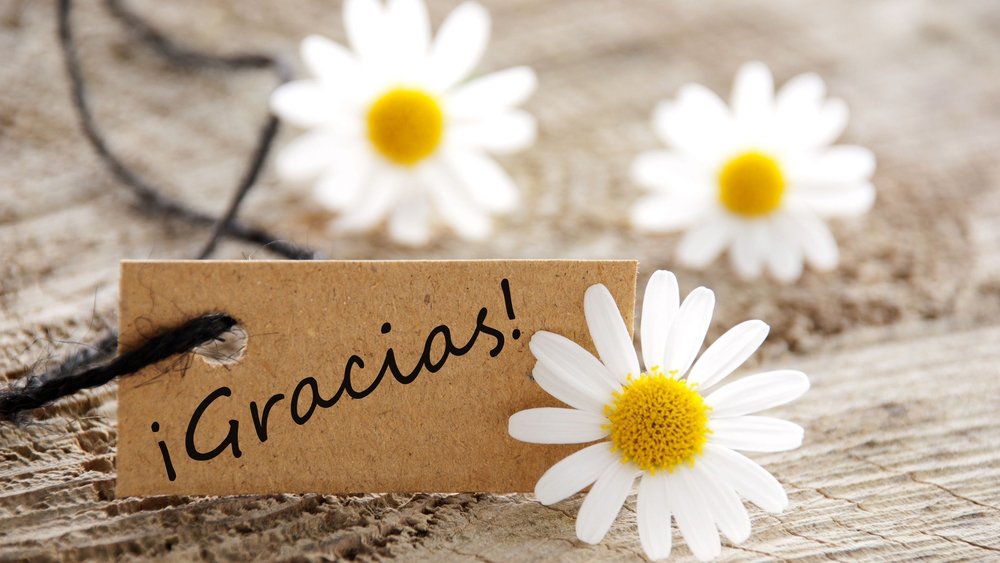 Este 21 de septiembre es el Día Mundial de la Gratitud, mira sus beneficios – Telemundo Dallas (39) - Vimarsana News