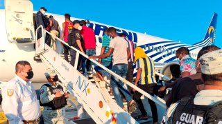 migrantes haitianos suben las escalerillas de un avión
