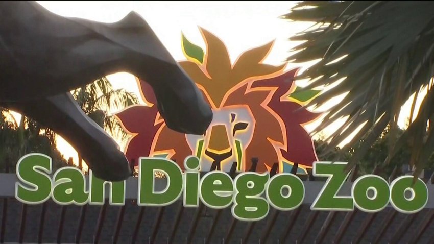 Atracción atorada por vandalismo en Zoológico de San Diego