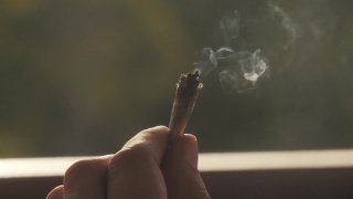 A grassroots organization in Denton continues to push the discussion around decriminalizing marijuana. Group leaders started a petition that is making its rounds and has more than 2500 signatures.