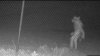 Extraña imagen captada por cámaras cerca de zoológico despierta pesquisa de autoridades