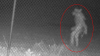 ¿Qué es? Crece el misterio del extraño ser captado en video cerca de un zoológico en Texas