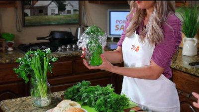 Aprendiendo sobre hierbas aromáticas