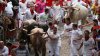 Las fiestas de San Fermín, en España, reúne a miles entre las astas de los toros