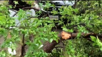 Miles de residentes de Dallas sin luz tras tormentas