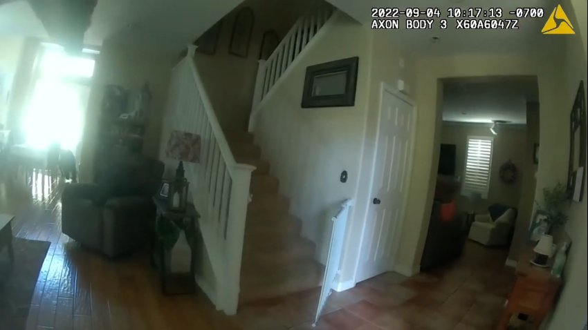 Captado en video: un oso negro roba comida dentro de una casa en California