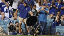 LOS ANGELES, CA - OCTOBER 12:   A Los Angeles Dodgers grounds crew member attempts to remove a bird from the field in the eighth inning during the game between the San Diego Padres and the Los Angeles Dodgers at Dodgers Stadium on Wednesday, October 12, 2022 in Los Angeles, California. (Photo by Rob Leiter/MLB Photos via Getty Images)