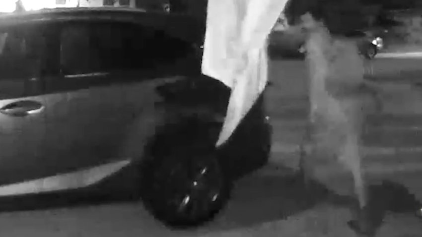 Vandalizan decenas de vehículos en Fort Worth