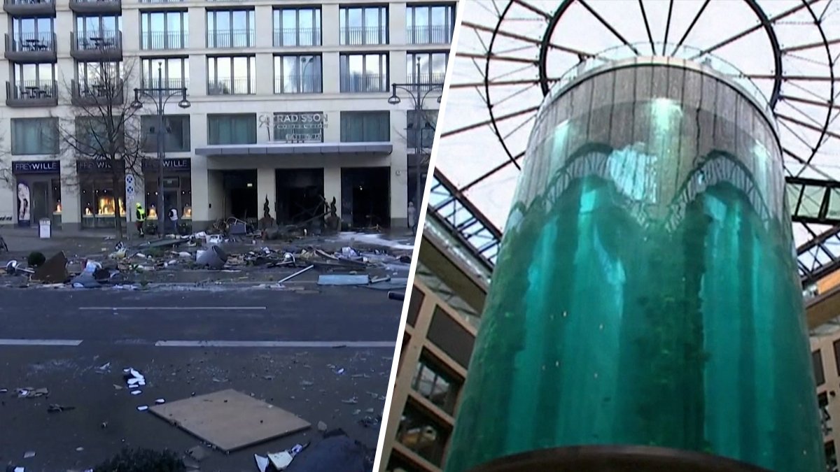 Estalla en Berlín el acuario cilíndrico más grande del mundo ...