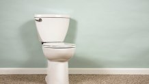 One toilet in carpeted room with blank wall for copy.