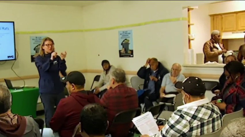 Academia de ratas en la Ciudad de Nueva York