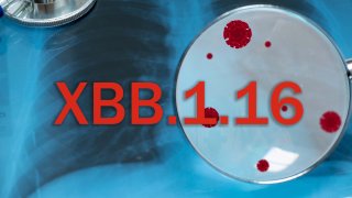 XBB.1.16 (Arcturus)