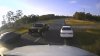 En video: tortuga cruzando la carretera provoca un choque en cadena