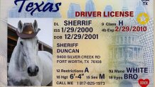 Sheriff's fake ID