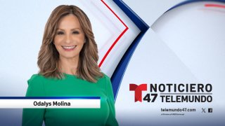 T47_OdalysMolina_ WebProfile