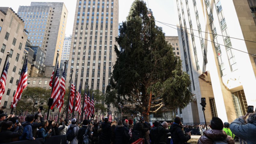 NEW YORK, NY – NOVEMBER 11: The Rockefeller Center Christmas tree was lifted into place after arriving in the plaza in New York City on Saturday (Nov. 11). About 100 spectators watched the lifting process of the 80-foot, 12-ton tree arrived in midtown Manhattan early Saturday morning. (Photo by Lokman Vural Elibol/Anadolu via Getty Images)