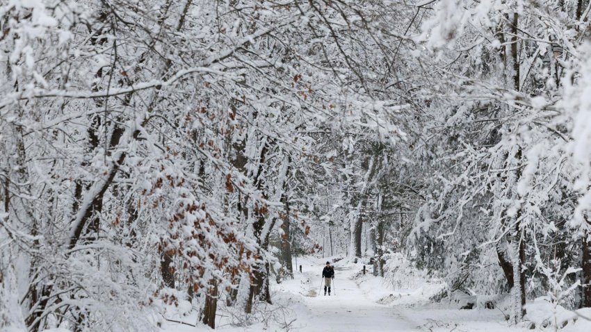 La tormenta invernal en EE.UU. deja al menos tres muertos y cortes de electricidad