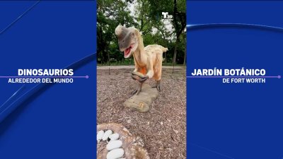 Gigantescos dinosaurios llegan a Fort Worth