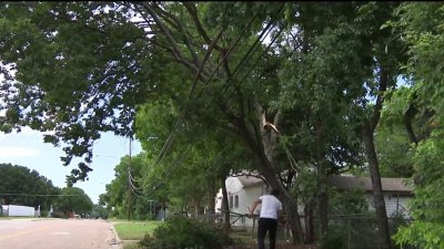 Residentes de Oak Cliff sorprendidos por los daños dejados por la tormenta