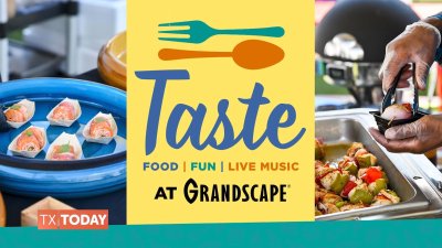 Savory bites at Taste of Grandscape