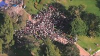 Los Ángeles: ordenan la evacuación de manifestantes propalestinos en UCLA