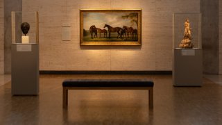 Installation photo of Stubbs Mares and Foals Kimbell Art Museum