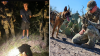 Agente canino da con el rastro de hispano buscado por asesinato en Dallas