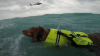 Dramático video muestra rescate de perro y su dueño varados en el mar en medio del huracán Helene