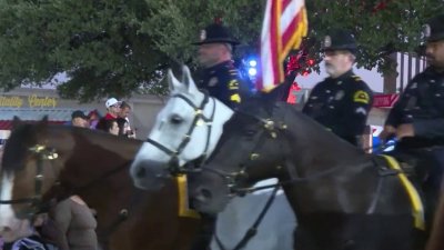 Caballo de la uniformada de Dallas se sobresalta en la Feria Estatal y deja un herido