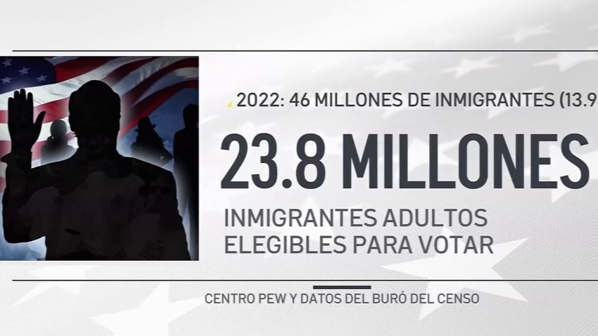 Enfoque Texas: el voto del inmigrante naturalizado