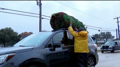 Centros de reciclaje en el norte de Texas para llevar tu arbolito de Navidad