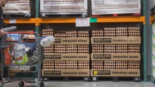 La FDA advirtió que los huevos orgánicos de Costco marca Kirkland pueden estar contaminados con salmonela.