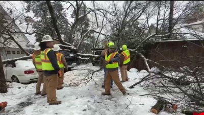 Reportes de daños tras el paso de la nieve en McKinney