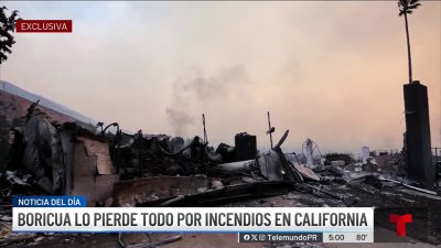 Puertorriqueña pierde todo en devastadores incendios en California