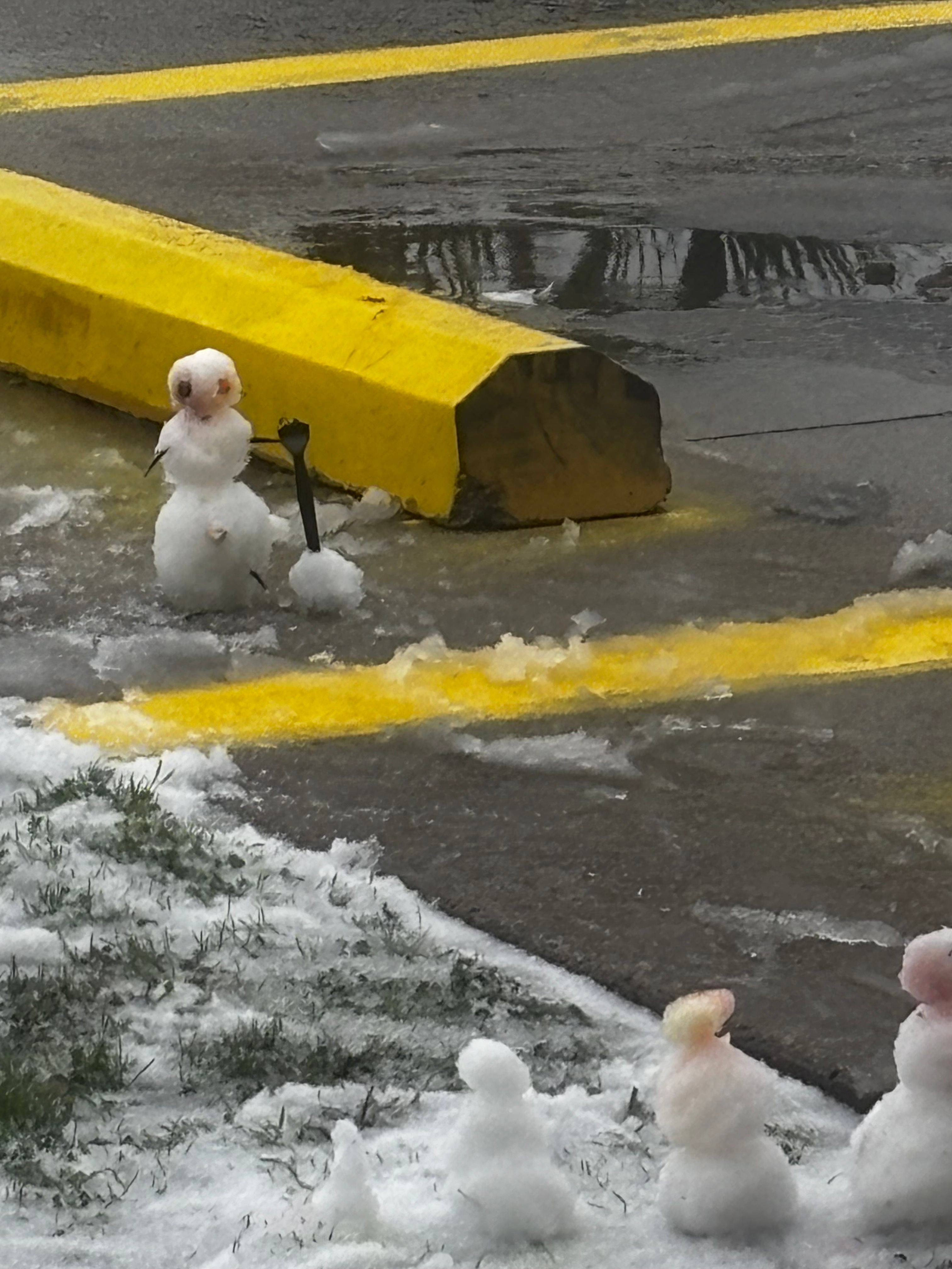 Sent from my iPhone
From Fort Worth earlier today. My son making his snowman.