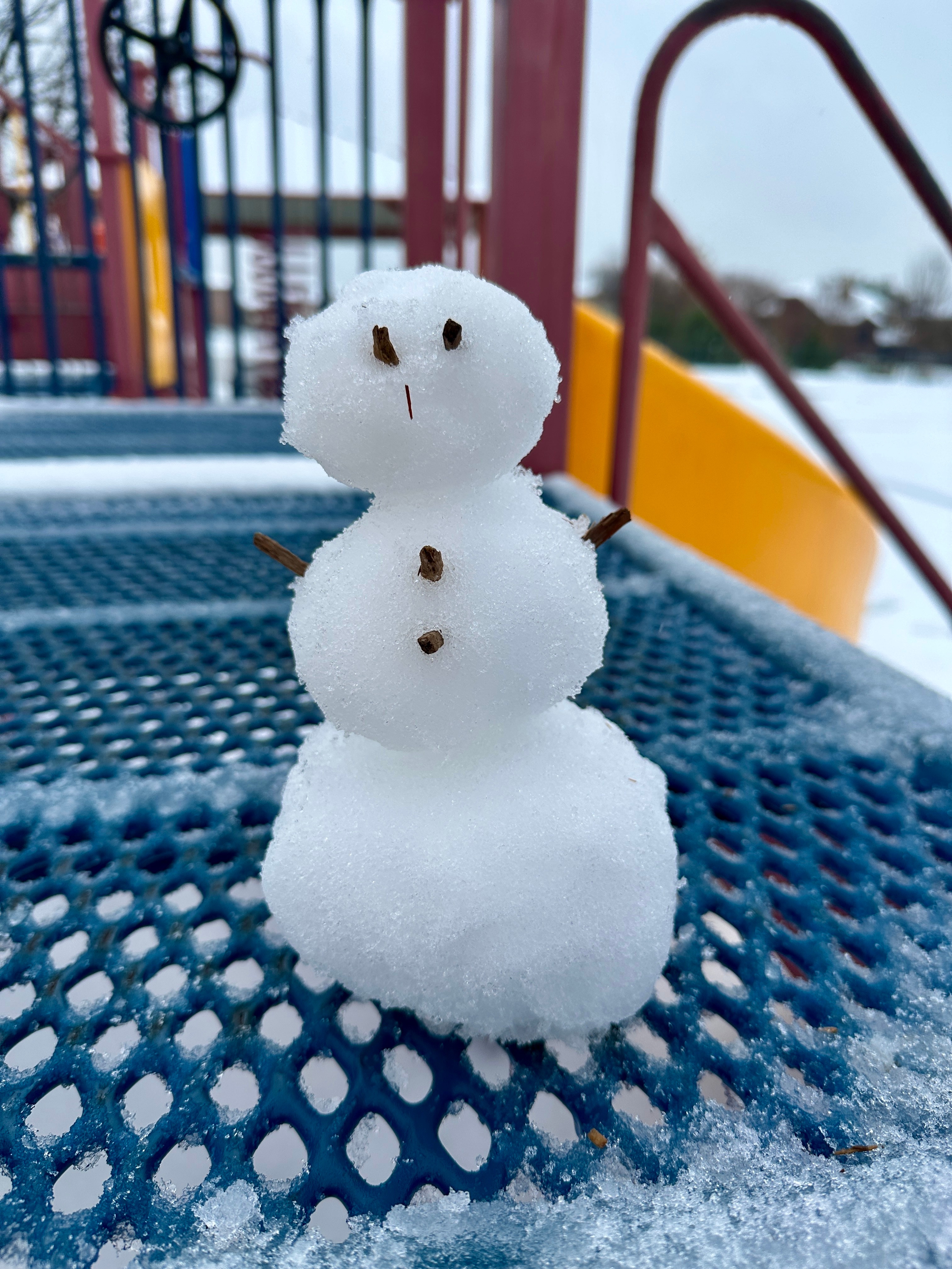 From inner tubing and playing in the snow, to the neighborhood bobcats<br />
playing in my front yard, today was a successful day!
Thank you,
Michelle Hamouch<br />
Michelle.S.Hamouch@gmail.com<br />
M: (469)767-0902