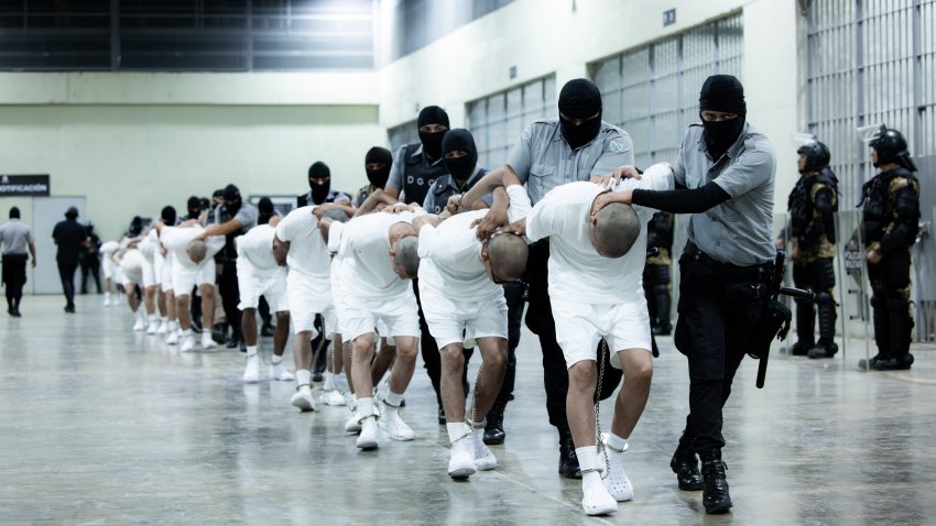 In this handout photo provided by the Salvadoran government, guards escort the inmates allegedly linked to criminal organizations at CECOT on March 16, 2025, in Tecoluca, El Salvador