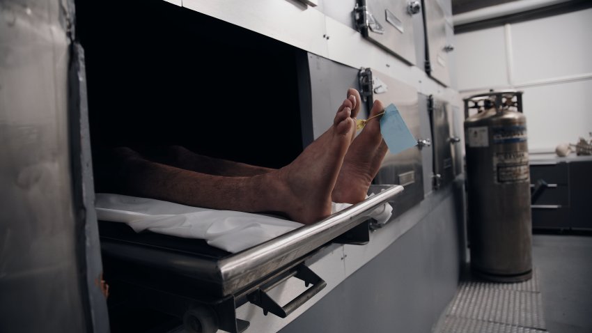 Feet in a morgue